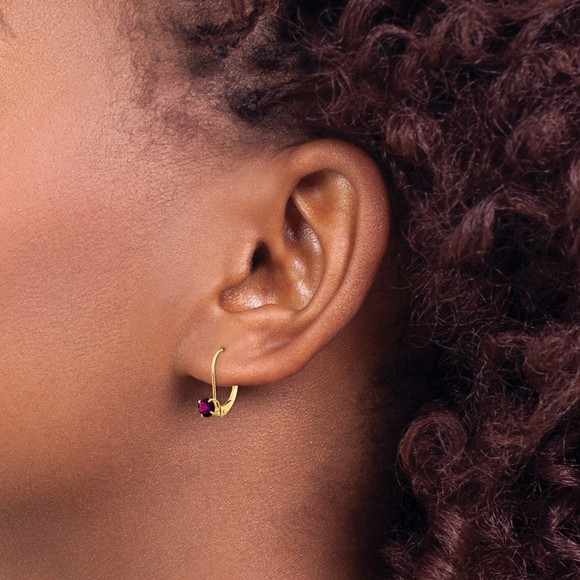 14k Yellow Gold 4mm Round June/Rhodolite Leverback Earrings